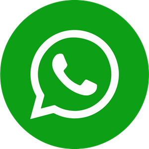 WhatsApp icon
